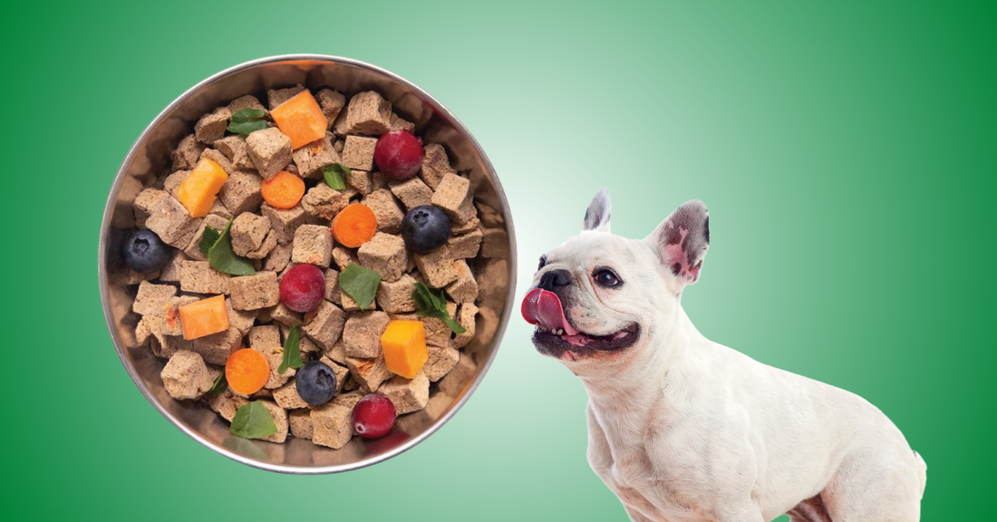 human grade dog food benefits