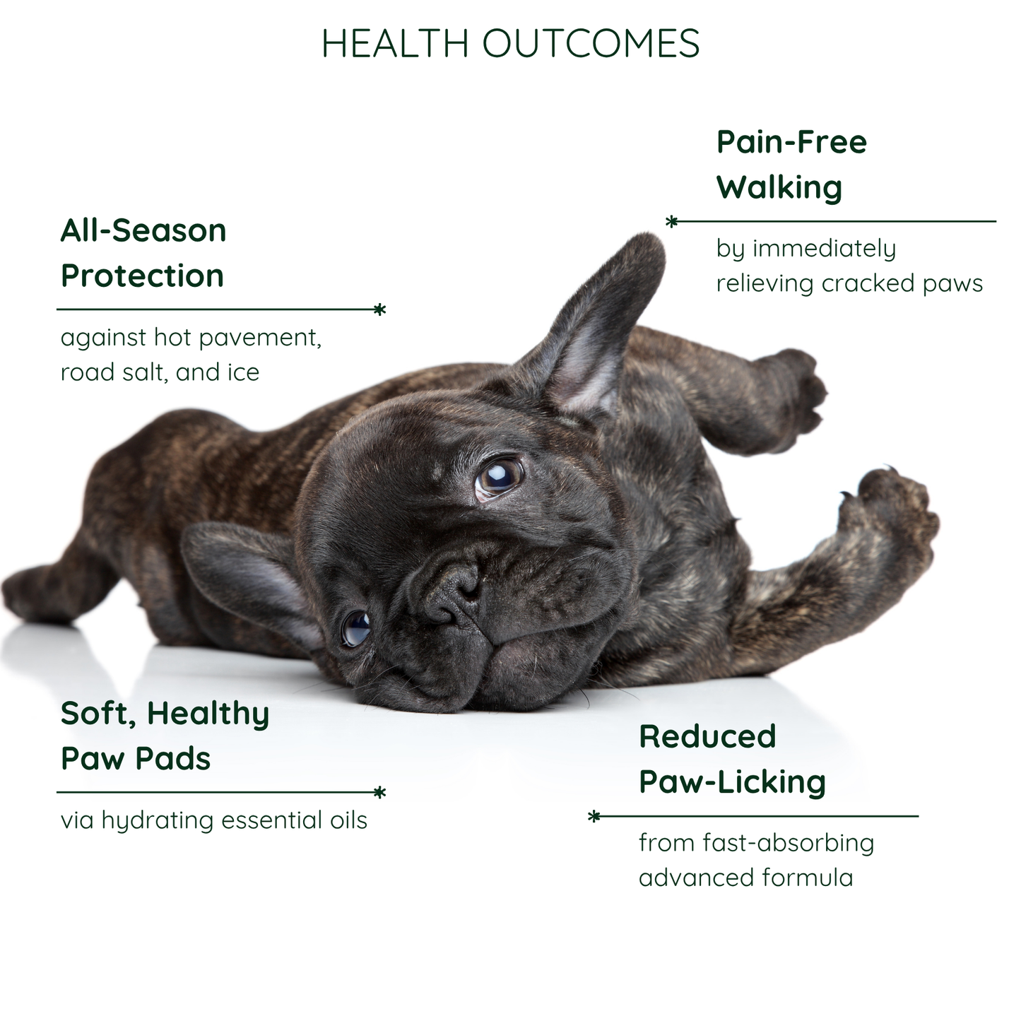 Hydrating Paw Butter For Dogs