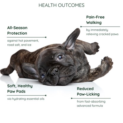 Hydrating Paw Butter For Dogs