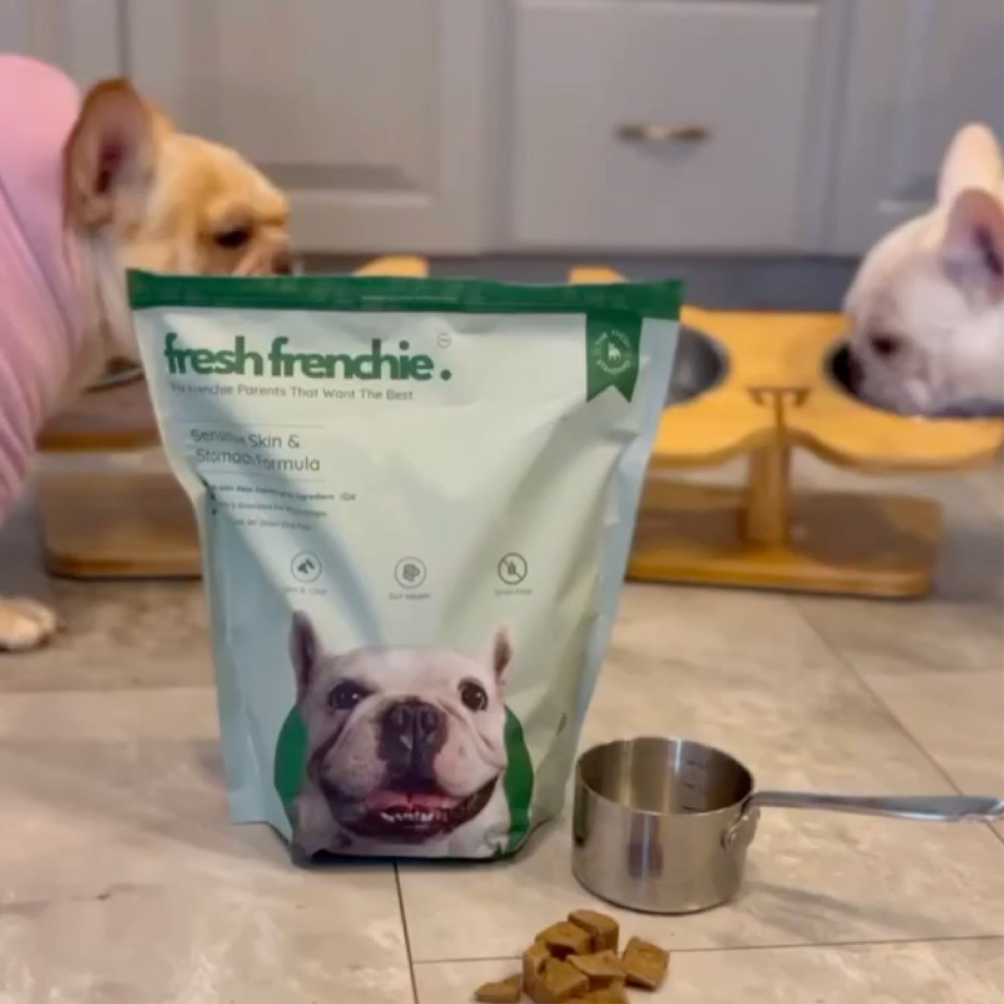Fresh Air Dried Dog Food For French Bulldogs