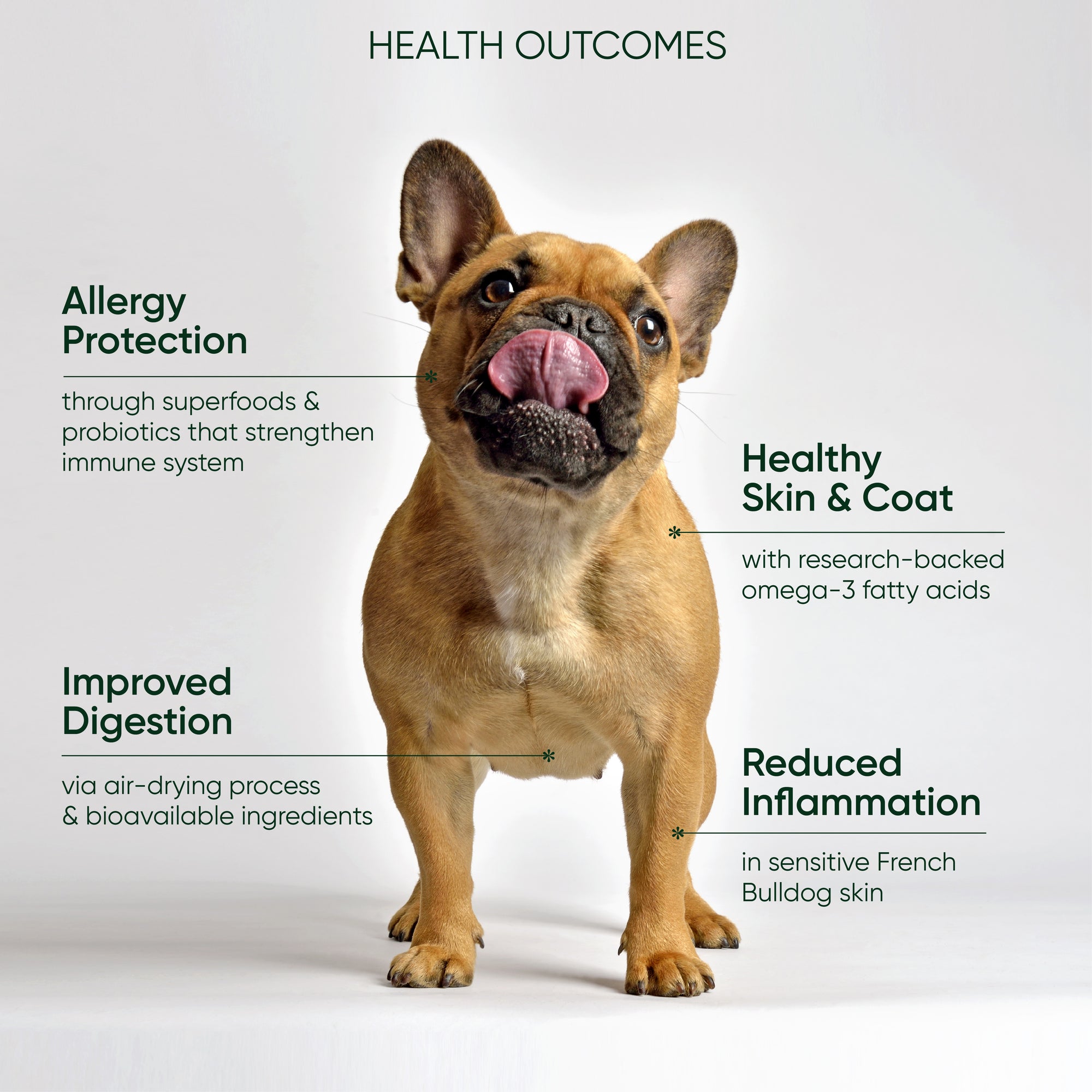 Fresh Air Dried Dog Food For French Bulldogs