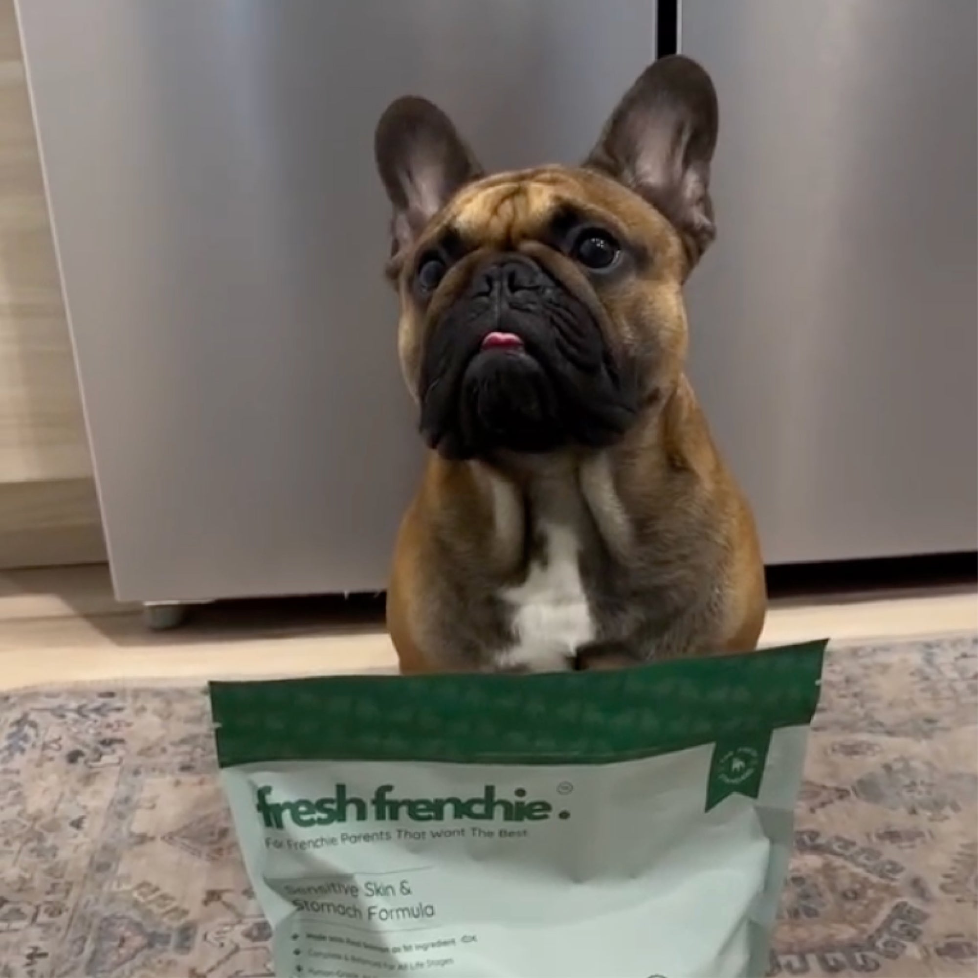 Fresh Air Dried Dog Food For French Bulldogs