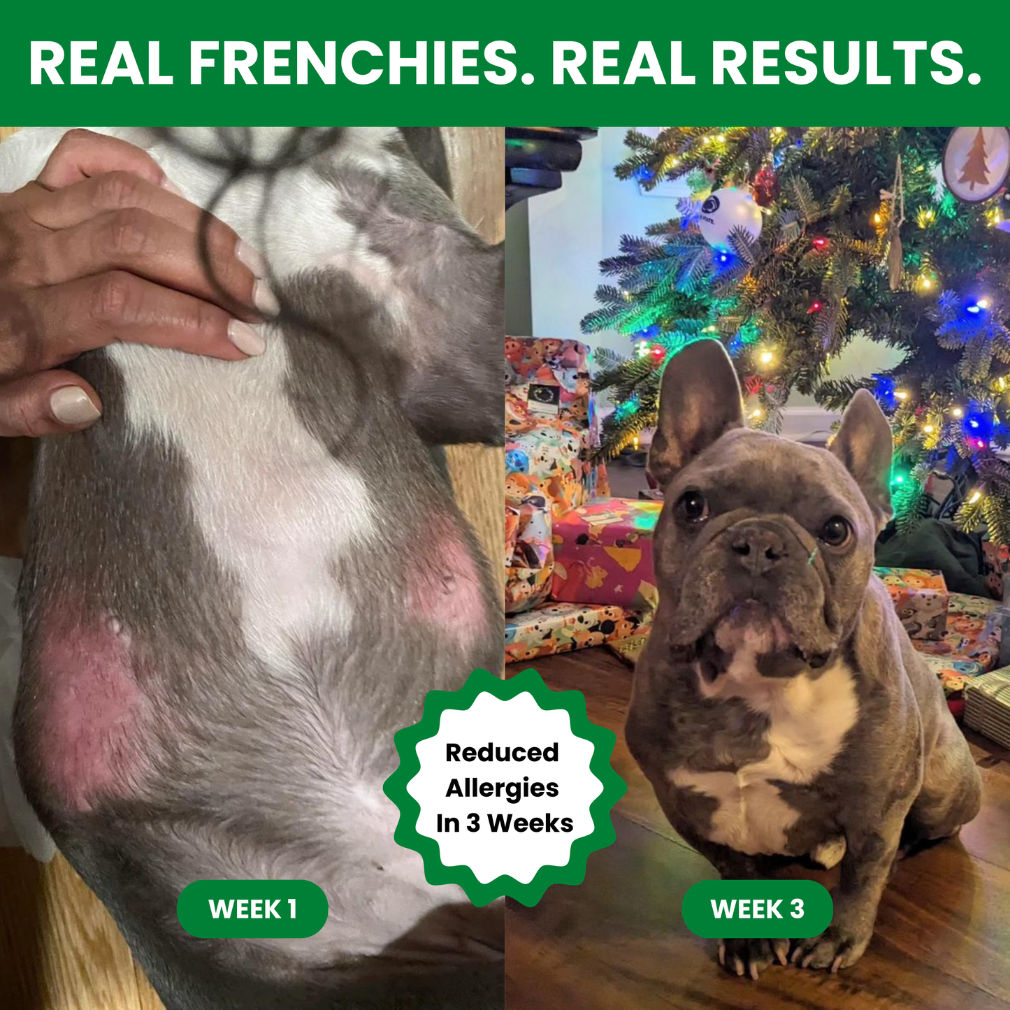 Fresh Air Dried Dog Food For French Bulldogs